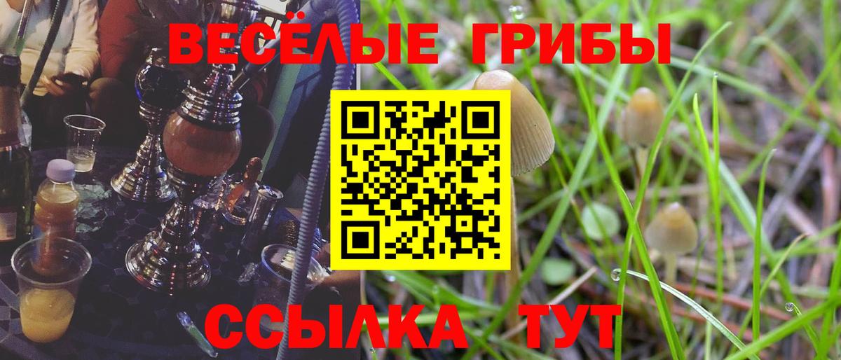 Галлюциногенные грибы Psilocybine cubensis  Вход с VPN  Мичуринск 
