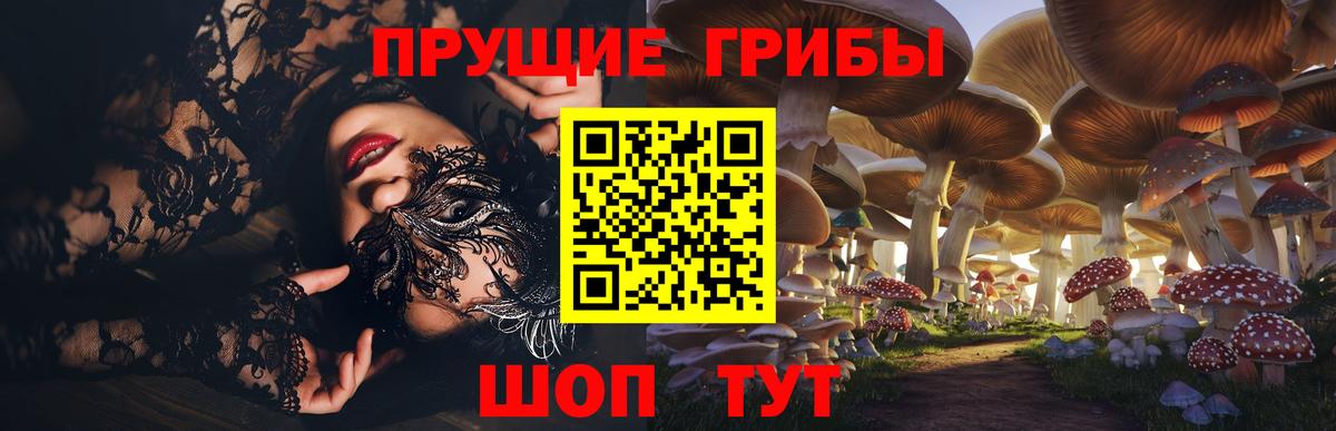 Галлюциногенные грибы прущие грибы Мичуринск